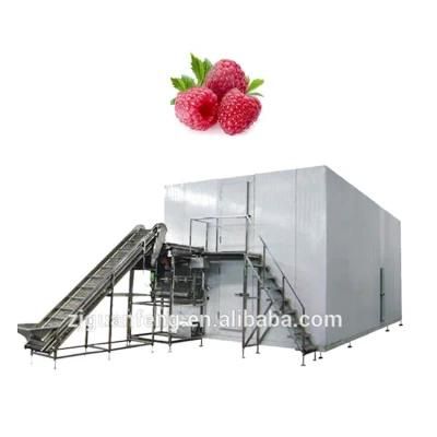 Industrial Freezer Quick Freeze Machine for Sale