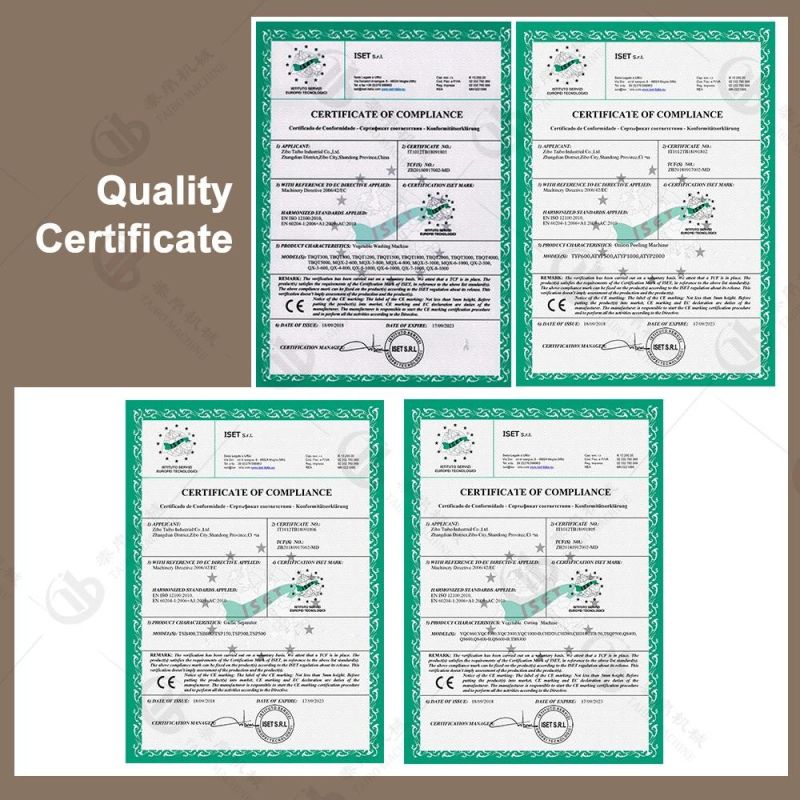Industrial Kiwi Orange Avocado Washing Waxing Grading Sorting Line for Factory