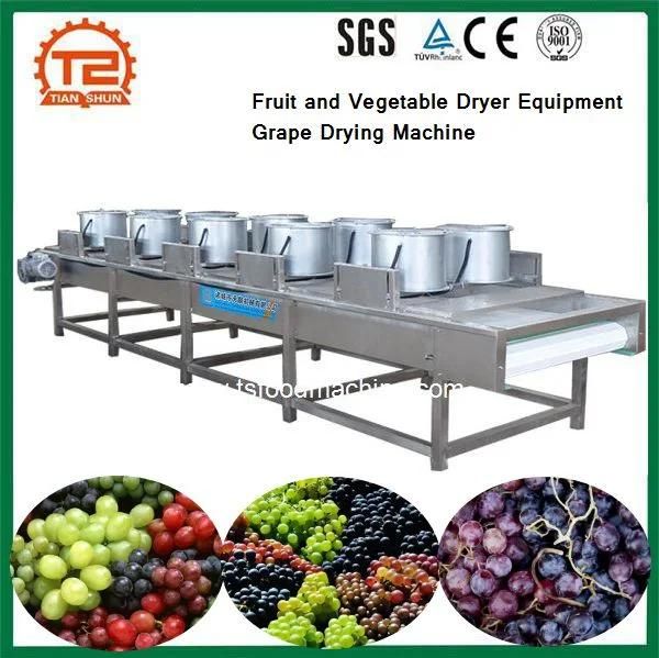 Fruit and Vegetable Dryer Equipment Grape Drying Machine