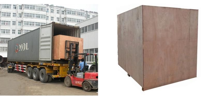 Automatic Electric Cassava Starch Packaging Making Machine Dried Starch Packing Equipment