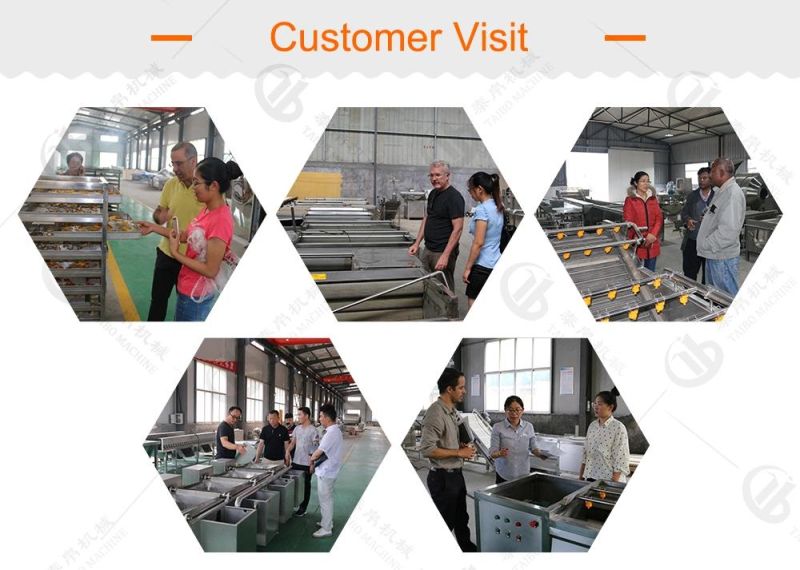 Commercial Apple Bell Pepper Washing Waxing Size Grading Line