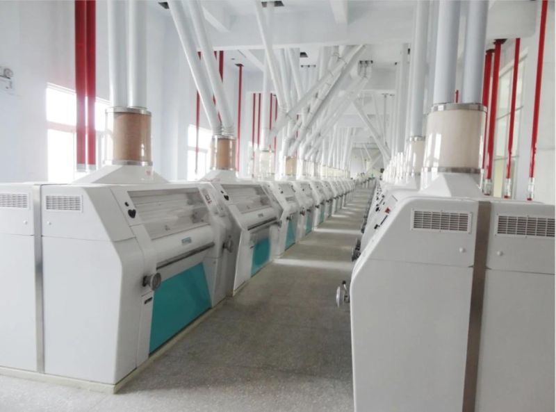 Wheat Roller Mill Wheat Milling Equipment Grain Flour Mill Supplier