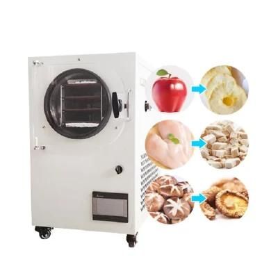 China Stainless Steel Lyophilization Machine Lyophilizer Fruit Vacuum Fd-50 Freeze Dry ...