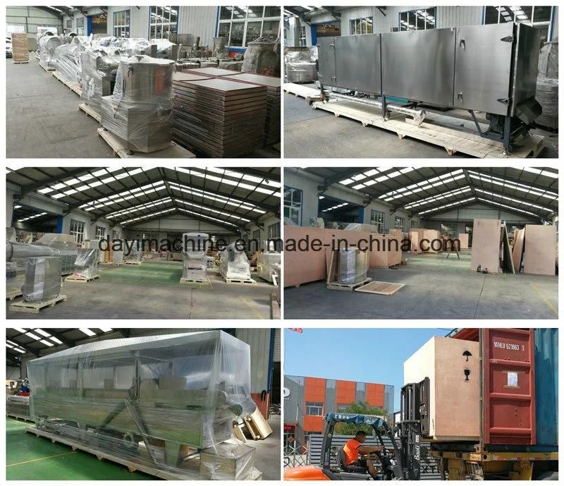 Jinan Dayi Snacks Food Breakfast Cereals Corn Flakes Making Machine Line