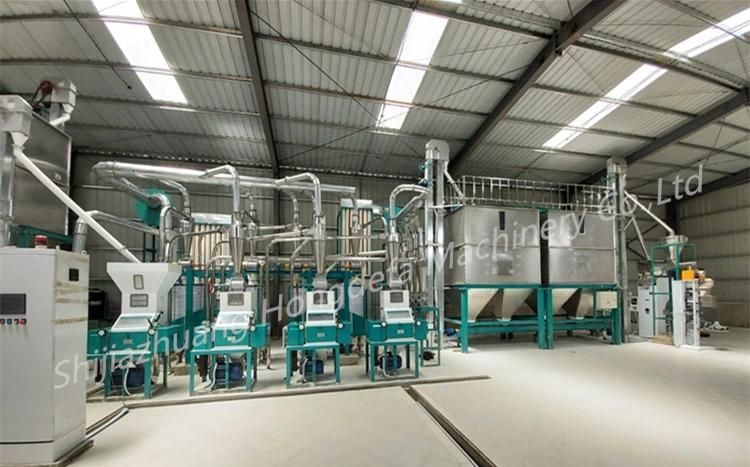 Popular 30t/24h Maize Corn Flour Processing Mill Plant for Africa