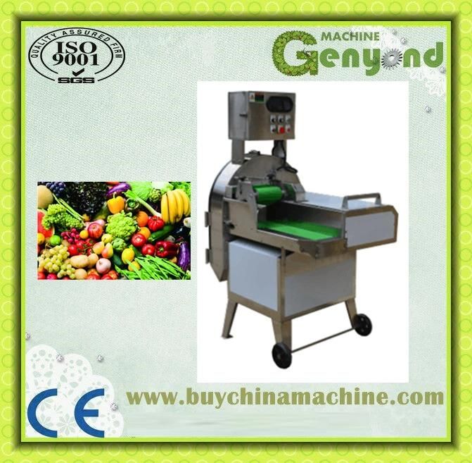 Clean Vegetables Fruit Processing Line in China