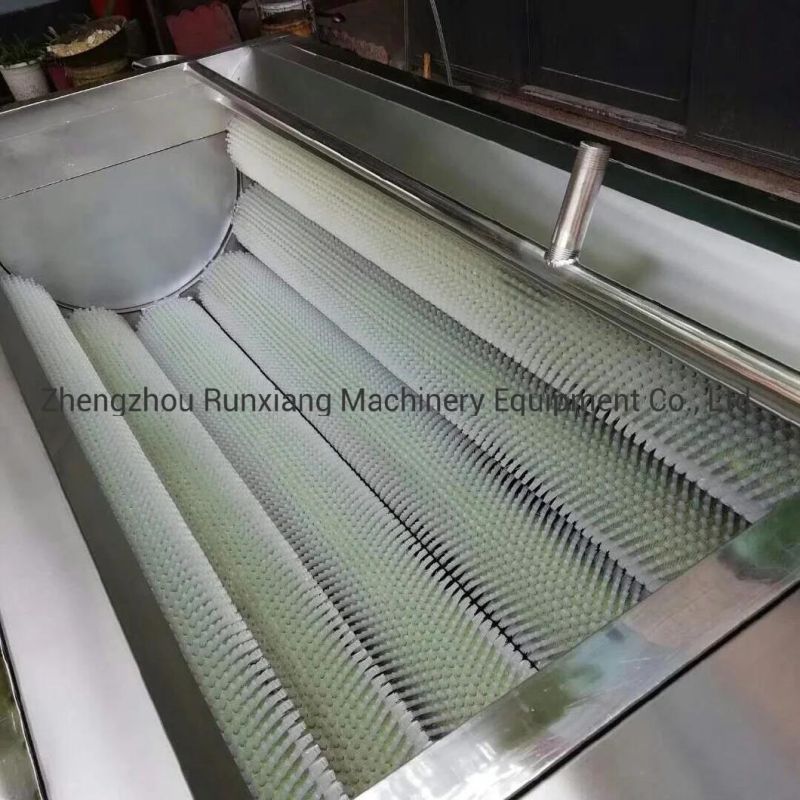 Chinese Stainless Steel Brush Vegetable Fruit Washing and Peeling Machine