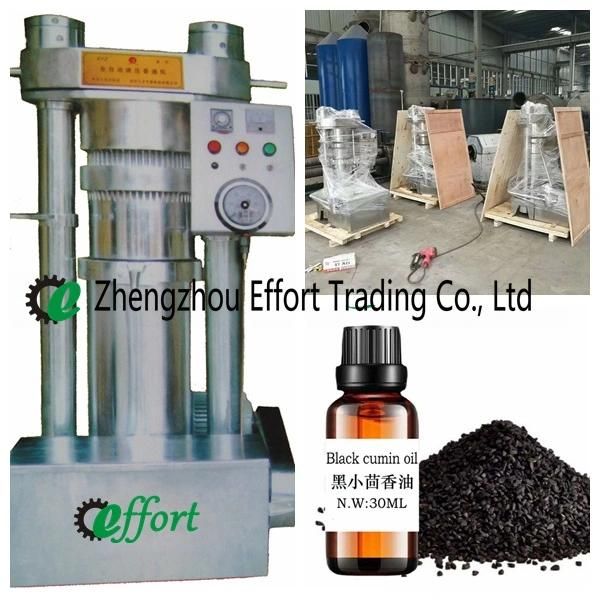 Top Quality SS304 Hydraulic Oil Press Used for Sesame/Peanuts/Nuts/Pumpkin Seeds