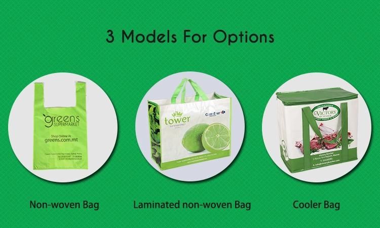 Reusable Hot Transfer Printing Non-Woven Fabric Shopping Bag for Supermarket