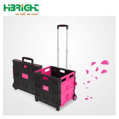 Single Handle Plastic Foldable Shopping Cart