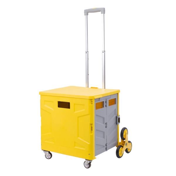 China Plastic Storage Box Portable Cart Supermarket Personal Shopping Trolleys