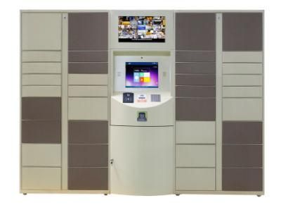 Customized Cold Rolled Steel DC Plywood Case Footlocker Delivery Locker