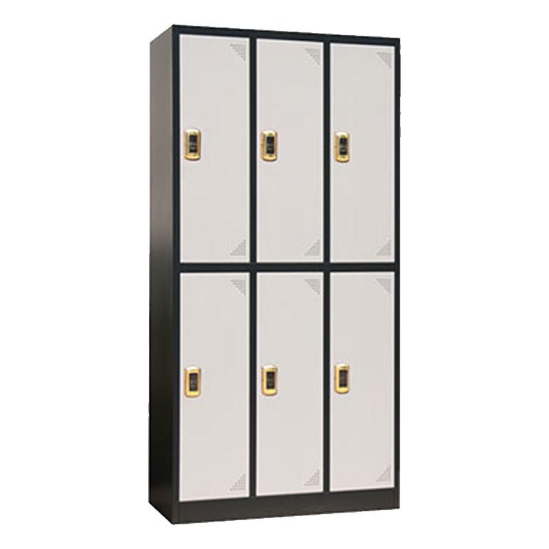 Swimming Pool Locker Metal Locker Storage Gym 6 Door Locker Staff Lockers