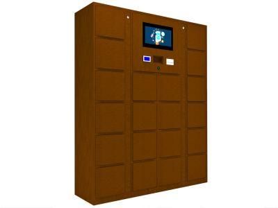 Digital Face Recognition Storage Locker