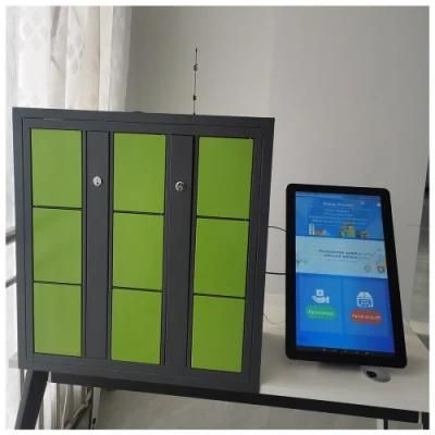 Manufacturer Factory Steel Smart Storage Parcel Delivery Locker