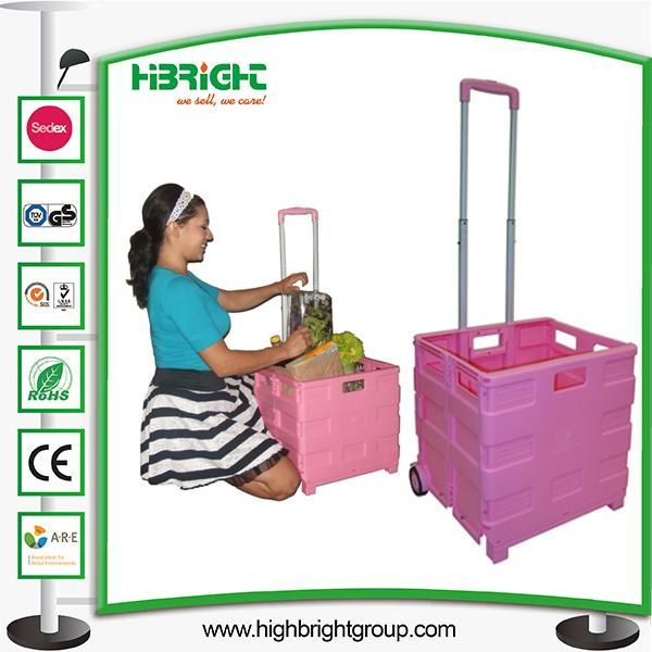 Pack & Roll Foldable Shopping Cart (HBE-FP-1)