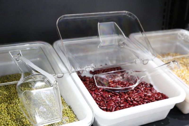 Self Serve Bulk Food Container 