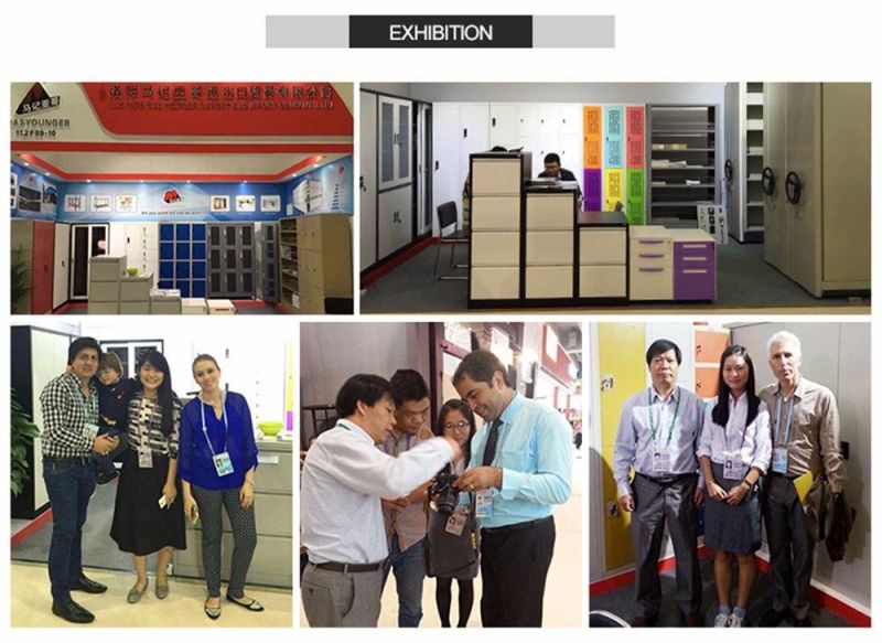 Fashion Style Factory Direct Sale Office Use 2 Door Locker