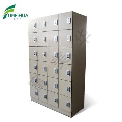 Professional Factory Storage Cabinet Locker for Students and Staffs