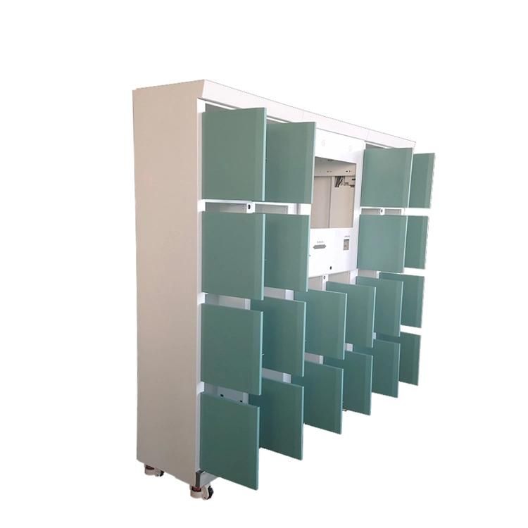 Densen Customized Smart Custom Cabinet Smart Storage Locker Cabinet Outdoor Intelligent Steel Luggage Locker