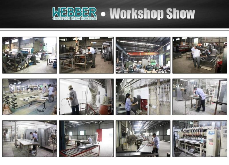 Hot Sale Steel Locker/Storage Cabinet From Chinese Supplier