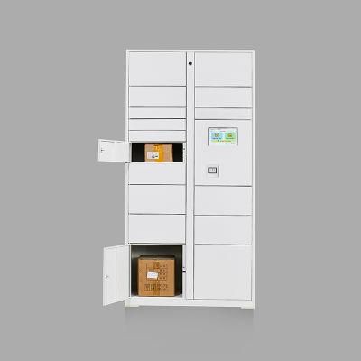 20 Door Main and Deputy Smart Locker