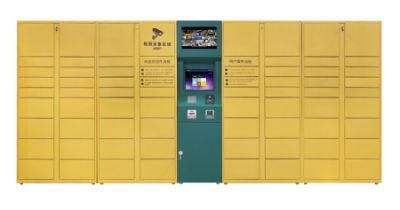 Intelligent Parcel Delivery Locker in Logistic Center