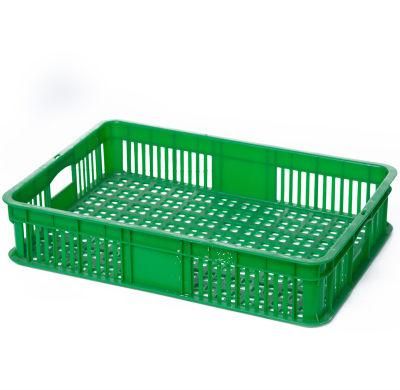 Fashionable Factory Direct Sales Shallow Vegetable Basket with Hollow Bottom