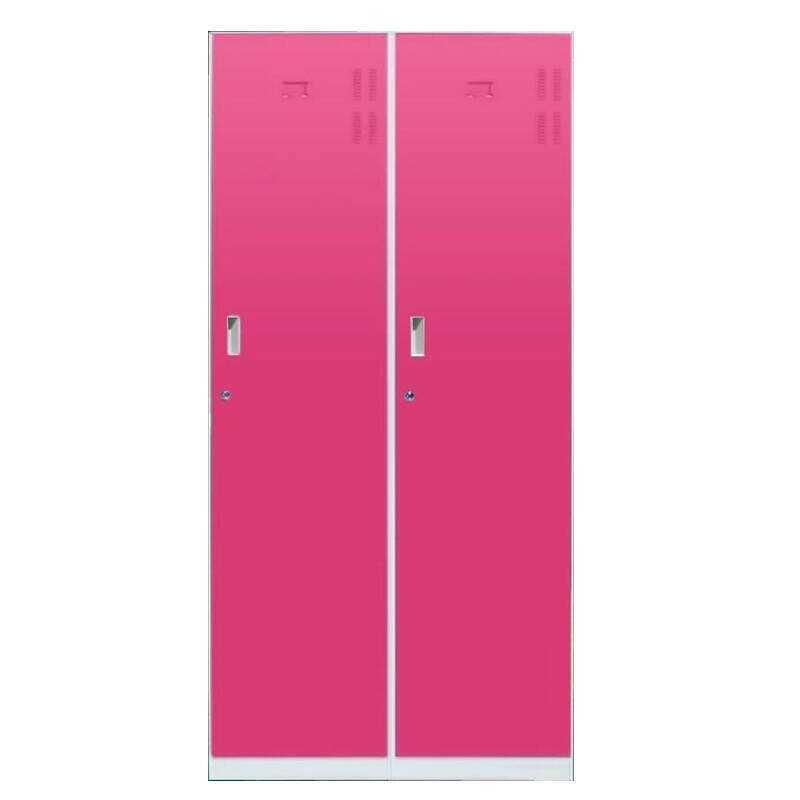 Fashion Design Assemble Clothes Storage 2 Door Locker