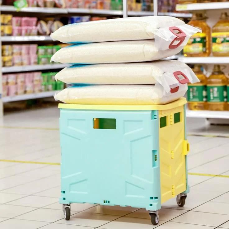 China Multi Functional Plastic Grocery Shopping Trolley Folding Cart on Sales