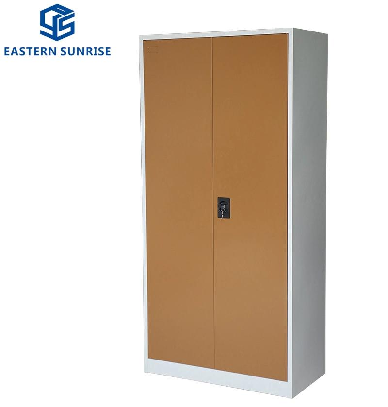 Modern Furniture Metal Storage Locker with 2 Swing Door