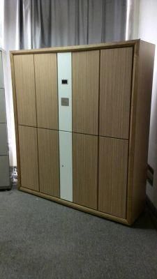 Wood Surface Wardrobe Steel Cloth Locker