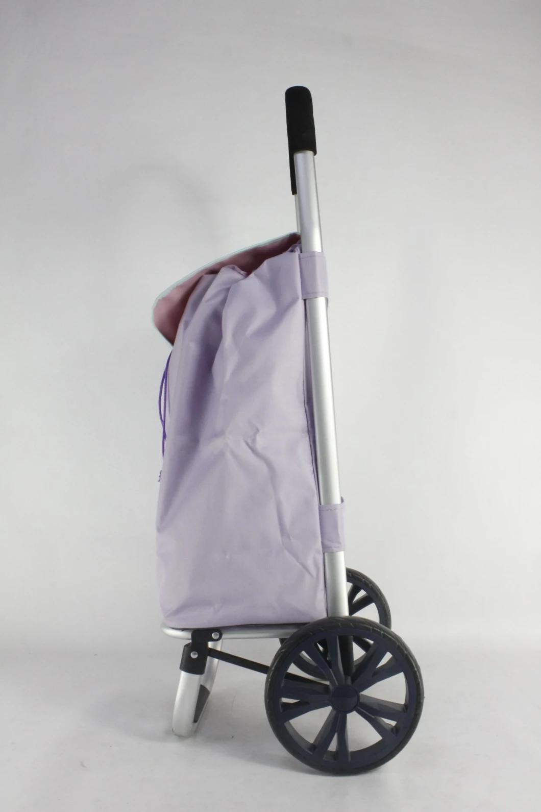 Basic Popular Customized Color OEM ODM Best Selling Wholesale Foldable 2 Wheels Shopping Trolley