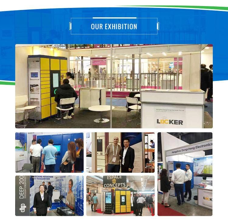 Low Price High Quality Customized Password DC Self Paying Home Parcel Locker with CE ISO