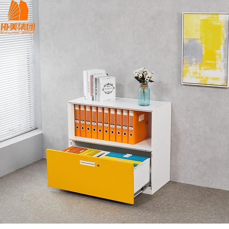 Home Furniture Metal File Cabinet for Books