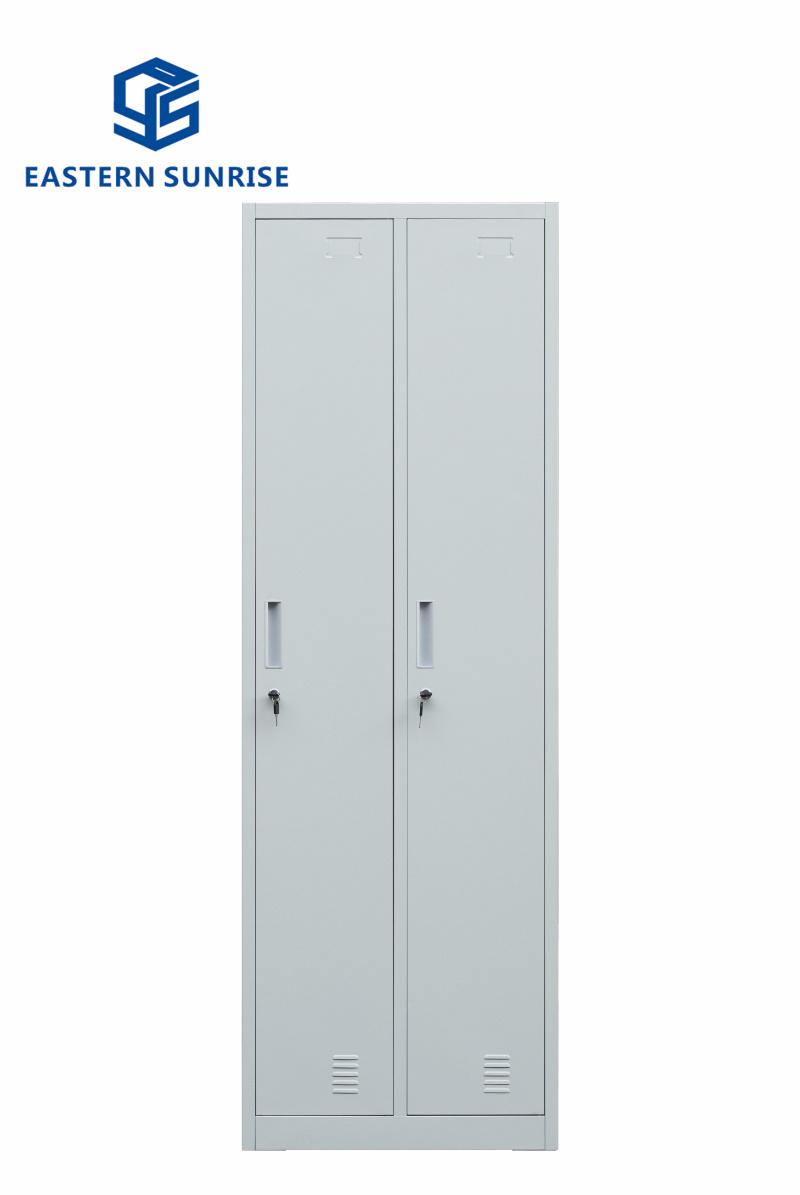 Wholesale Steel Locker with 2 Doors Use for Office