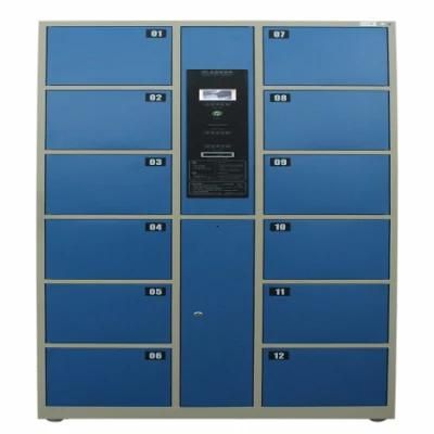 High Quality Safe Supermarket 12 Doors Electronic/ Barcode Locker