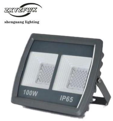 100W Top Design High Integrated Lbw Model Outdoor LED Light