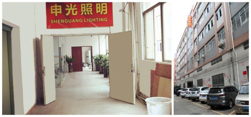 20W Shengguang Brand Apple Outdoor LED Light with Waterproofing IP66