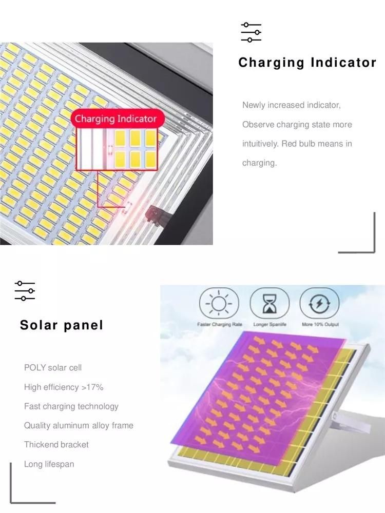 Sfl04-100W Solar Flood Light with Motion Sensor