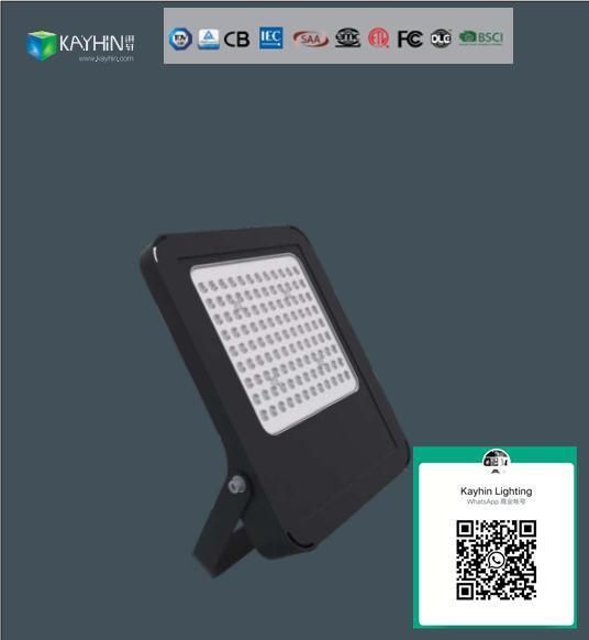 Solar LED Street Light Installation SMD COB Flood Light Outdoor 50W 100W 150W 200W Dali Controller Pri Sensor SMD LED Flood Light