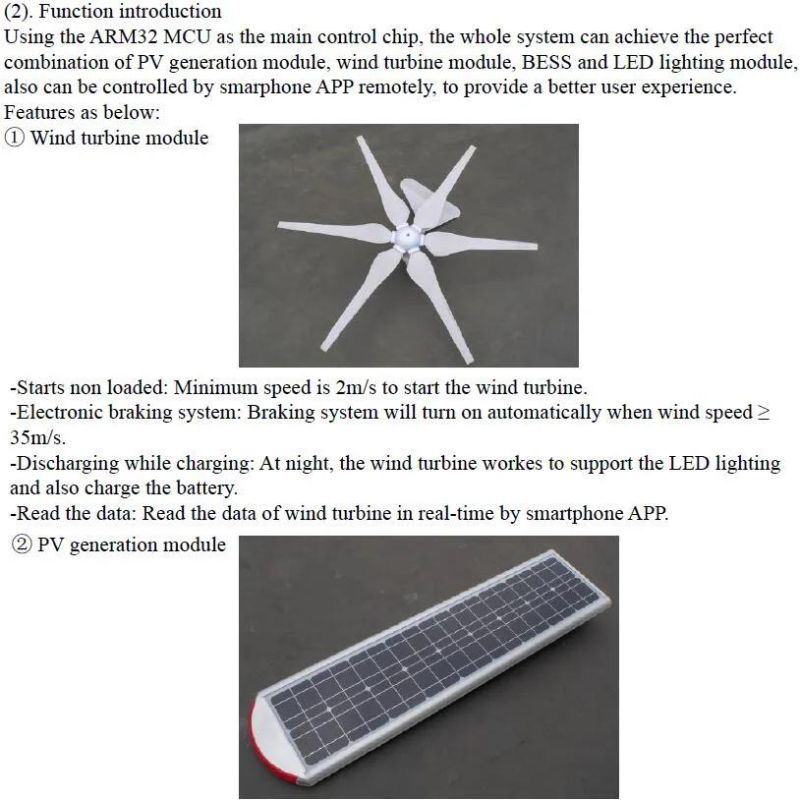 30W Hybrid Wind and Solar LED Street Light (SNH-030)