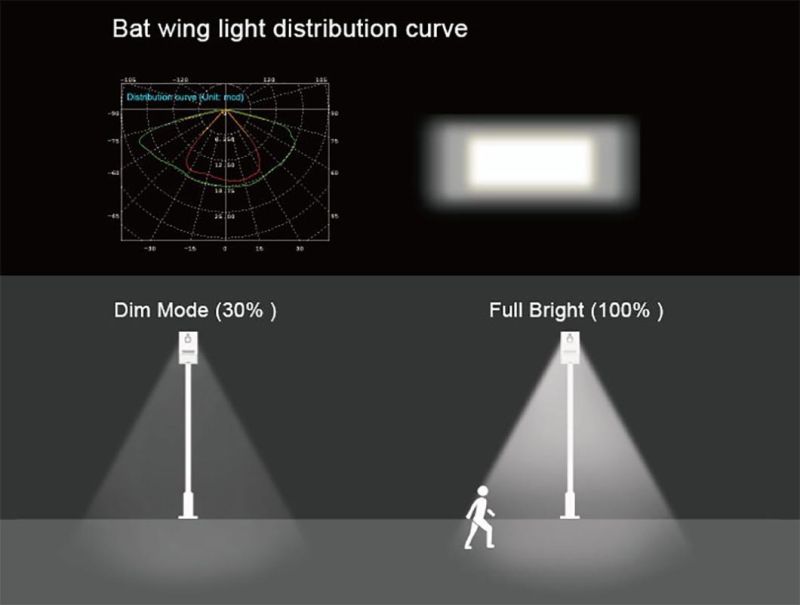 Factory Directly Sale Classic Model 30W Intelligent All in One Solar Street Light