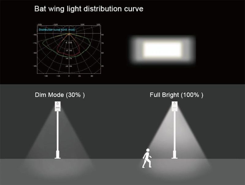 High Efficiency LiFePO4 Battery All in One LED Solar Street Light 40W