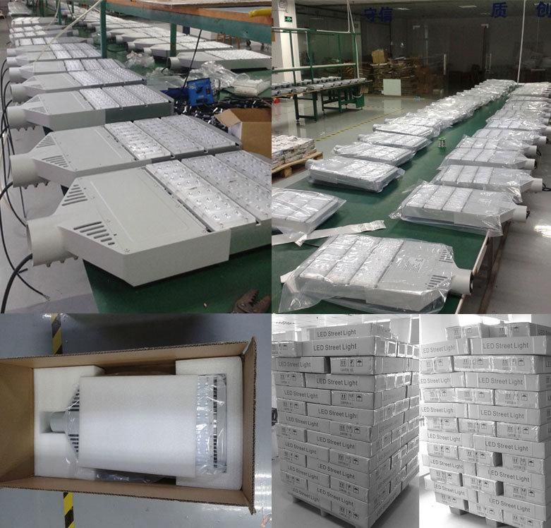 IP66 Ik09 Outdoor Luminaires 60W 80W 100W 50W LED Garden Light for Street Area Light