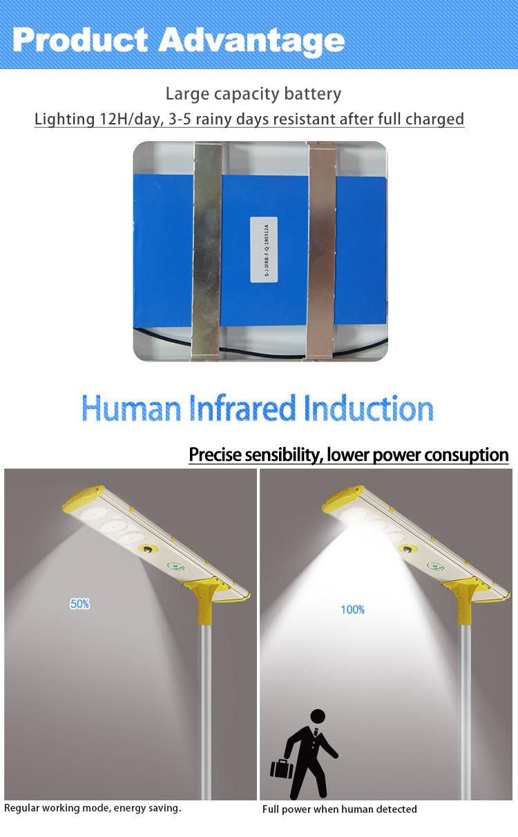 Certificated LED Solar Street Light with LiFePO4 Battery