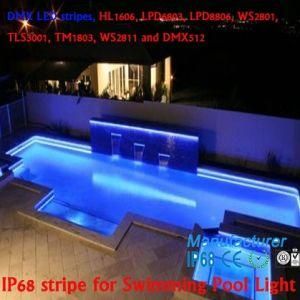 12V 48 LEDs Ws2811 Digital LED Tape, Digital LED Strip