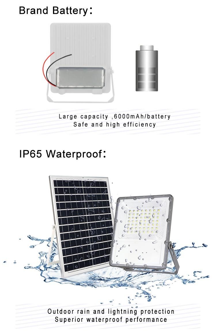 All Diecast Aluminum High Power Garden Light Pathway Brightest IP65 100W Outdoor LED Batteries Solar Flood Light