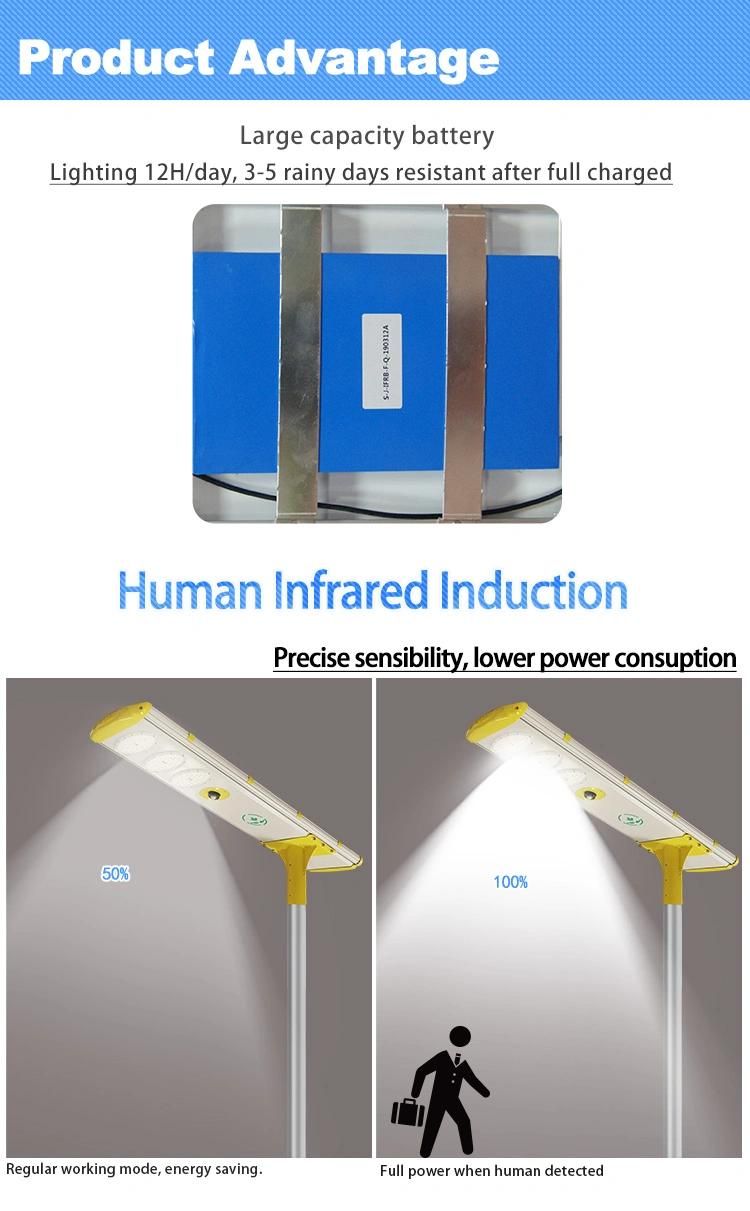 12V/24V 80W Integrated Solar Street Light Project