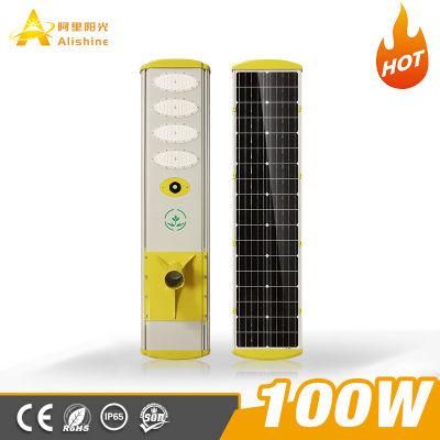 100W Power Energy Saving Outdoor Road Solar LED Street Light